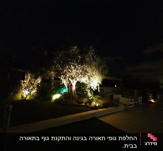 תאורת גן מאירה עץ בלילה